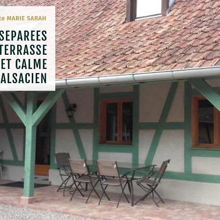 Gite Chez Marie-Sarah Petite Maison Calme Parking Ebersheim Buitenkant foto